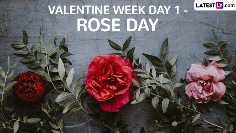 Rose Day 2025 Date in Valentine Week Know the Significance