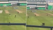 Viral Video Shows Security Officials at Gaddafi Stadium in Lahore Conducting Drills on How to Catch An Intruder Ahead of ICC Champions Trophy 2025