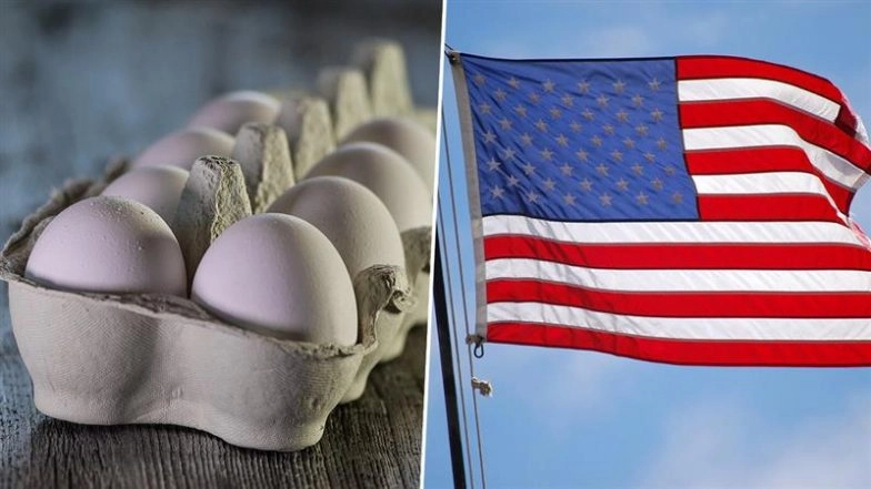 Egg Price Hike in US: Egg Prices Hit New Record High in United States