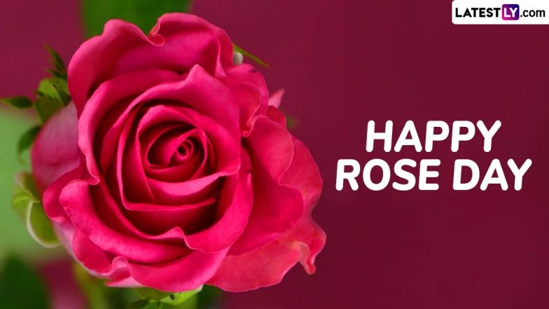 Happy Rose Day 2025 Wishes and Romantic Quotes Celebrate Romance With