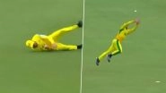 40-Year-Old Faf du Plessis Takes Stunning Diving Catch To Dismiss David Bedingham During Sunrisers Eastern Cape vs Joburg Super Kings SA20 2025 Eliminator Match (Watch Video)