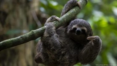 Funding Deal Agreed for Protecting Nature