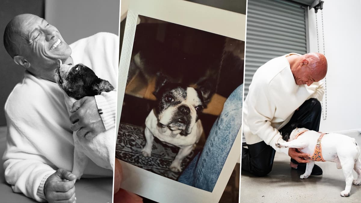 Numb Over This Loss': Dwayne 'The Rock' Johnson Mourns the Passing of His  Beloved Pet Dog Hobbs, Shares Heartfelt Moments With His Furry Friend on  Insta (View Post) | 🎥 LatestLY