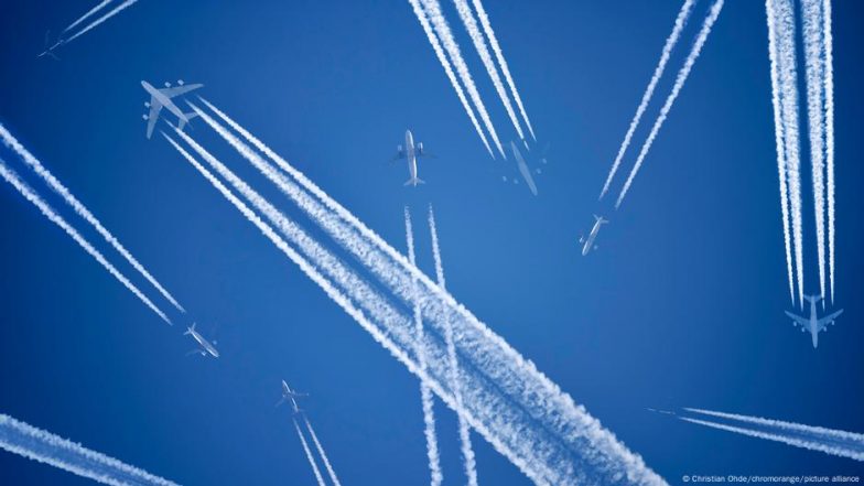 How Can I Tell if a Carbon Credit is Legit?