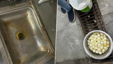 Hyderabad: Cockroach Infestation, Rotten Vegetables and Expired Products Found at 2 Restaurants During Inspection by Food Safety Task Force (See Pics and Videos)