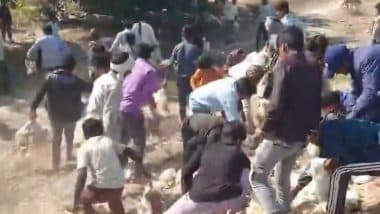 Chicken Loot on Kannauj Expressway: Pickup Truck Overturns After Driver Falls Asleep, Crowd Steals Scattered Birds, Video Goes Viral