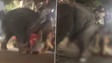 Palakkad: Elephant Runs Amok, Tramples Man to Death During Religious Performance in Kerala; Disturbing Video Surfaces