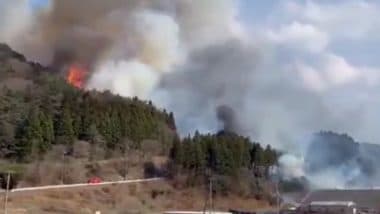 Japan Wildfire: 1 Dead, 2,000 Evacuated As Massive Forest Fire Destroys Over 80 Buildings in Iwate Prefecture (Watch Videos)