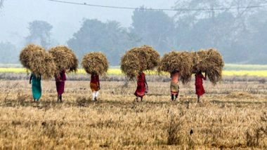 Business News | Agri Processing Industry Experts Hail Union Budget's Push Towards Aatma Nirbharta