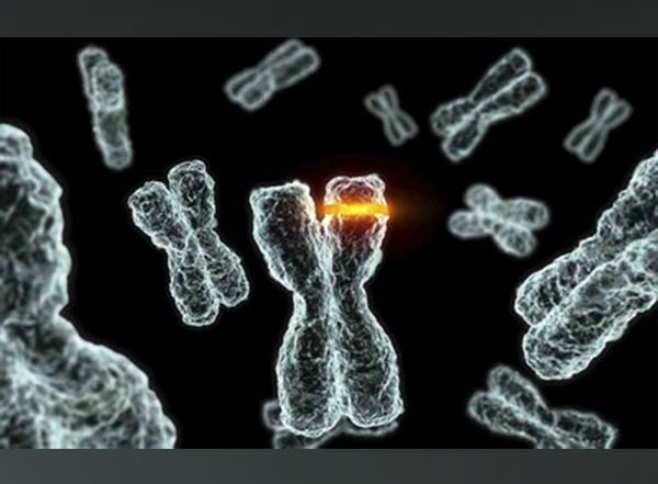 Business News | Datar Cancer Genetics Unveils Next Generation Multi-Analyte, AI-Powered Decision Support Platform for Personalized Treatment of Difficult-to-Treat Cancers.