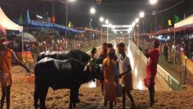 India News | Over 160 Pairs of Buffaloes Take Part in Jaya Vijaya Kambla in Mangaluru