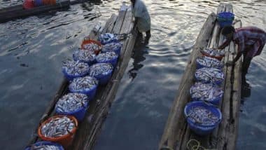 14 Indian Fishermen From Tamil Nadu’s Rameswaram Held by Sri Lankan Navy