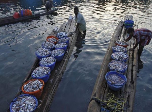 14 Indian Fishermen From Tamil Nadu’s Rameswaram Held by Sri Lankan Navy