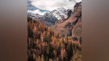 Science News | Discovering the Genetics of Climate Adaptation