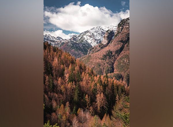 Science News | Discovering the Genetics of Climate Adaptation