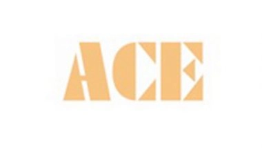 Business News | ACE Posts Robust Q3 FY25 - Total Income Up by 16.6 Percent YoY with Expanded Margins