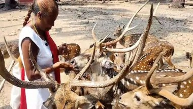 India News | Meet Andaman's 'Deer Woman' Anuradha Rao and Her 25-year Journey to Foster Trust Between Humans, Wildlife