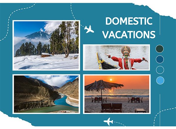 Business News | Travelmaddy: Your Trusted Partner for Unforgettable Journeys