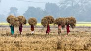 Business News | Scaling Solar-based Technologies Can Transform Farm Sector's Productivity: Industry Experts at India Energy Week 2025