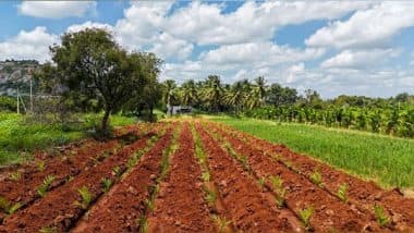 Business News | The Art of Living's JalTara: A Simple Yet Revolutionary Answer to India's Water Crisis