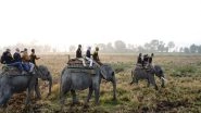 World News | Jaishankar, Heads of Mission and Diplomats Visit Sarnath Archaeological Site, Kaziranga National Park