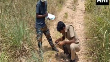 India News | Tamil Nadu: Tiger Census Begins at Kalakad Mundanthurai Tiger Reserve in Tirunelveli