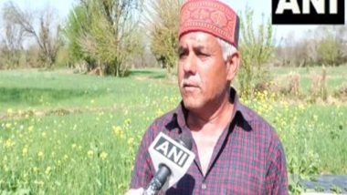 India News | J-K: Rainfall Brings Relief to Strawberry Cultivators in Udhampur as Dry Spell Ends