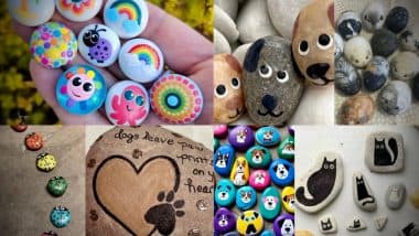 Easy and Creative Ideas for Fun Pet Rocks