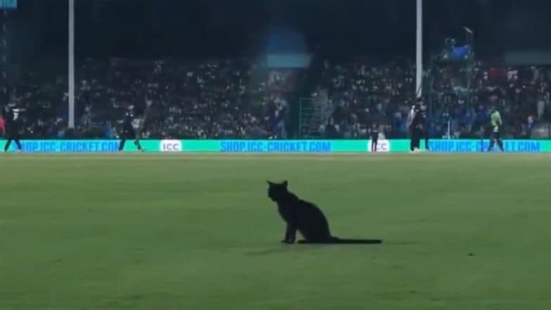 Black Cat Returns in Karachi! Feline Spotted Sitting on the Field at National Bank Stadium During PAK vs NZ ICC Champions Trophy 2025 Match, Video Goes Viral