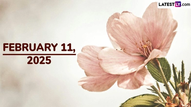 February 11, 2025 Special Days: Which Day Is Today? Know Holidays, Festivals, Events, Birthdays, Birth and Death Anniversaries Falling on Today&rsquo;s Calendar Date
