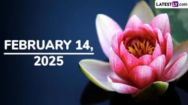 February 14, 2025 Special Days: Which Day Is Today? Know Holidays, Festivals, Events, Birthdays, Birth and Death Anniversaries Falling on Today’s Calendar Date