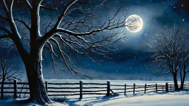 Snow Moon 2025 Date and Magha Purnima Time: Know February Full Moon Visibility, Significance and Other Details To Mark the Celestial Event