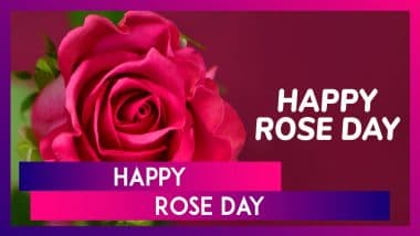 Happy Rose Day 2025 Greetings, Messages and Romantic Quotes To Send on Valentine Week