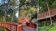 Malabar Hill Walkway To Open Soon: Know Opening Date, Entry Fee and Visitor Guidelines of Mumbai&rsquo;s 1st Elevated Forest Walkway