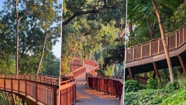 Malabar Hill Walkway To Open Soon: Know Opening Date, Entry Fee and Visitor Guidelines of Mumbai’s 1st Elevated Forest Walkway