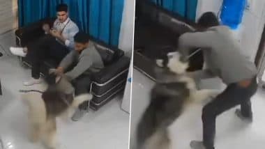 Pet Dog Suddenly Turns Violent, Brutally Attacks Man Inside Clinic; Viral Video Surfaces