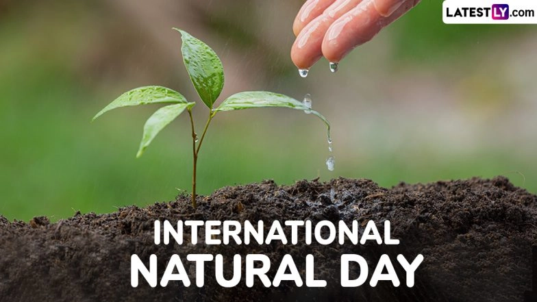 International Natural Day 2025: Know Date and Significance That Promotes Self-Care