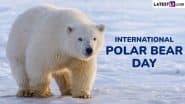 International Polar Bear Day 2025: Know Date, Aim and Significance of the Day That Raises Awareness About Challenges Polar Bears Face Due to Climate Change