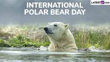 Happy International Polar Bear Day 2025 Messages & Images To Send on February 27 