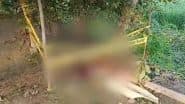 Tiger Attack in Uttar Pradesh: Big Cat Attacks Villagers in Lakhimpur Kheri, Beaten to Death (Watch Video)