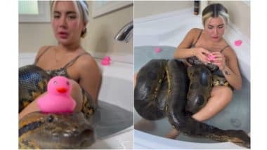 'One Girl One Anaconda' New Video Goes Viral: Clip Shows Blonde Woman Playing in Bathtub With Large Green Anaconda Snake (Watch)