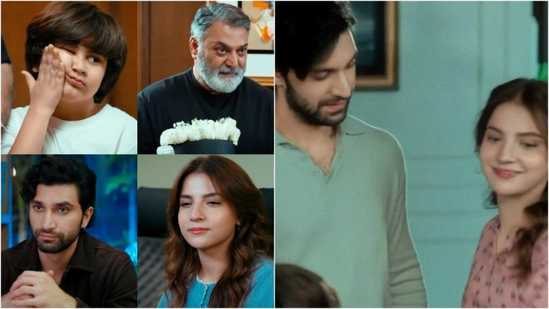 'Meem Se Mohabbat' Ep 17: Ahad Raza Mir and Dananeer Mobeen’s Pakistani Drama Sees Big Moments! 