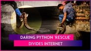 Viral Video: Man Grabs Giant Python Out From Canal, Netizens Divided Over &lsquo;Daring&rsquo; Act