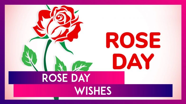 Rose Day 2025 Wishes, Greetings, Messages and Love Quotes To Send to