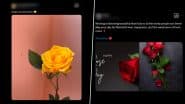 Rose Day 2025 Wishes, Images and Messages: Netizens Share Greetings, Quotes and HD Wallpapers To Celebrate Day 1 of Valentine Week