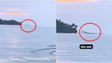 Loch Ness Monster or Just a Sea Wave Caught on Camera Near Indonesia Coast? Viral Video Claims To Capture Mysterious Nessie-Like ‘Sea Monster’ (Watch)