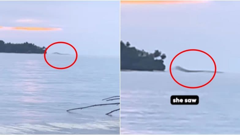 Loch Ness Monster or Just a Sea Wave Caught on Camera Near Indonesia Coast? Viral Video Claims To Capture Mysterious Nessie-Like 슬롯사이트Sea Monster슬롯사이트 (Watch)