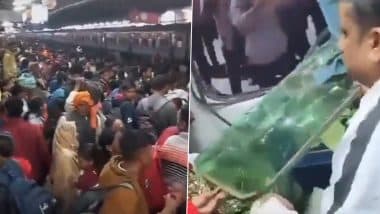 Bihar Train Stone Pelting: Passengers Pelt Stones, Smash Windows of Swatantrata Senani Express at Madhubani Railway Station As Train Heading to Maha Kumbh Mela Arrives Packed (Watch Video)