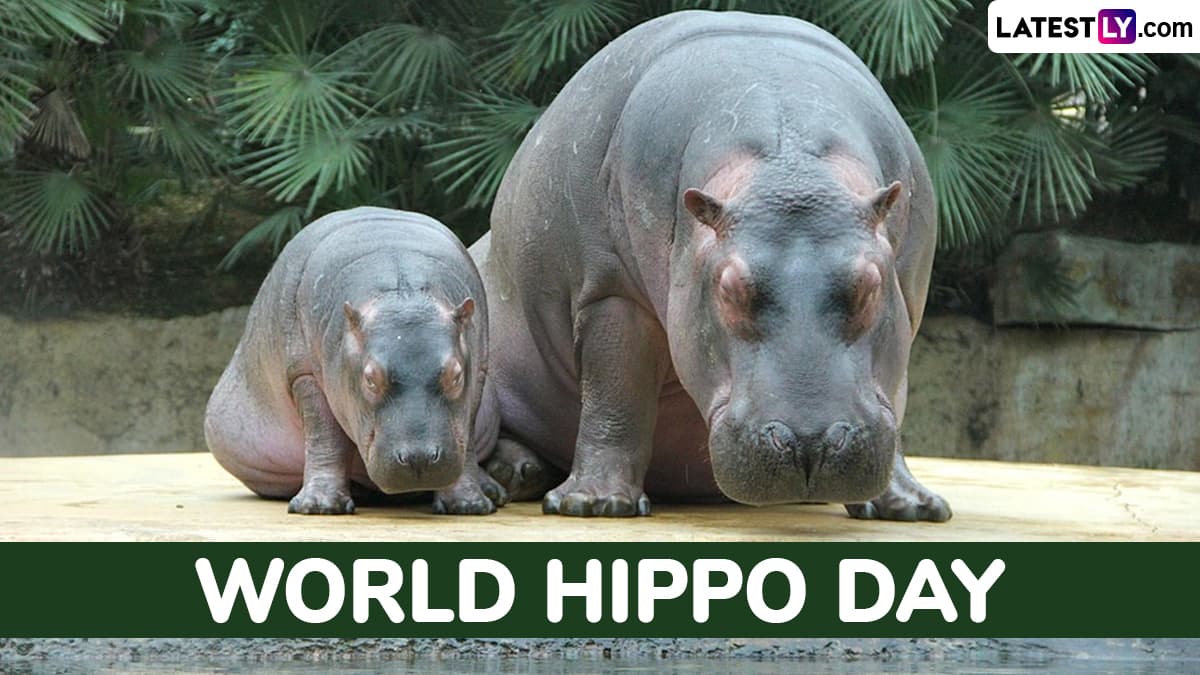 World Hippopotamus Day 2025 Date, Aim, History, Significance and Celebrations