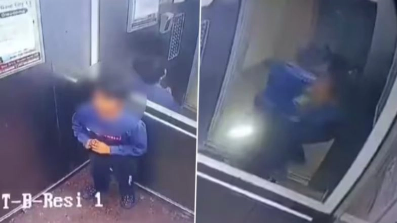 Woman Assaults Boy over Dog Entry into Lift at Gaur City 2, Detained as Video Goes Viral
